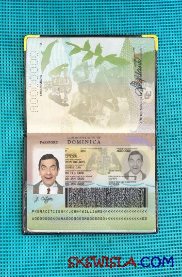 Dominikana zdjęcie do paszportu pliki PSD, skan i fotografowany obraz